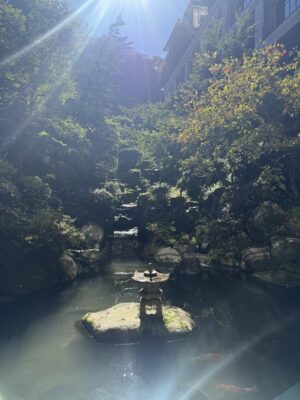 IMG_4996.jpeg